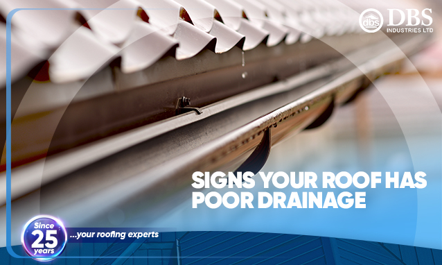 Signs Your Roof Has Poor Drainage
