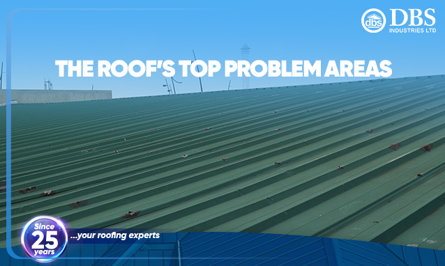 The Roof’s Top Problem Areas￼