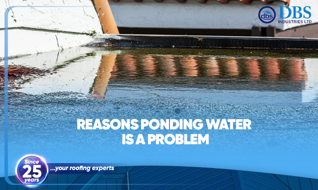 Reasons Ponding Water is a Problem￼